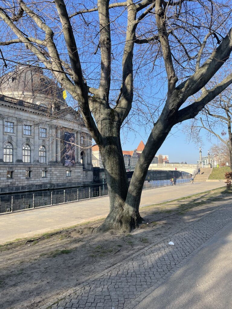 Spree and Bode Museum in Berlin