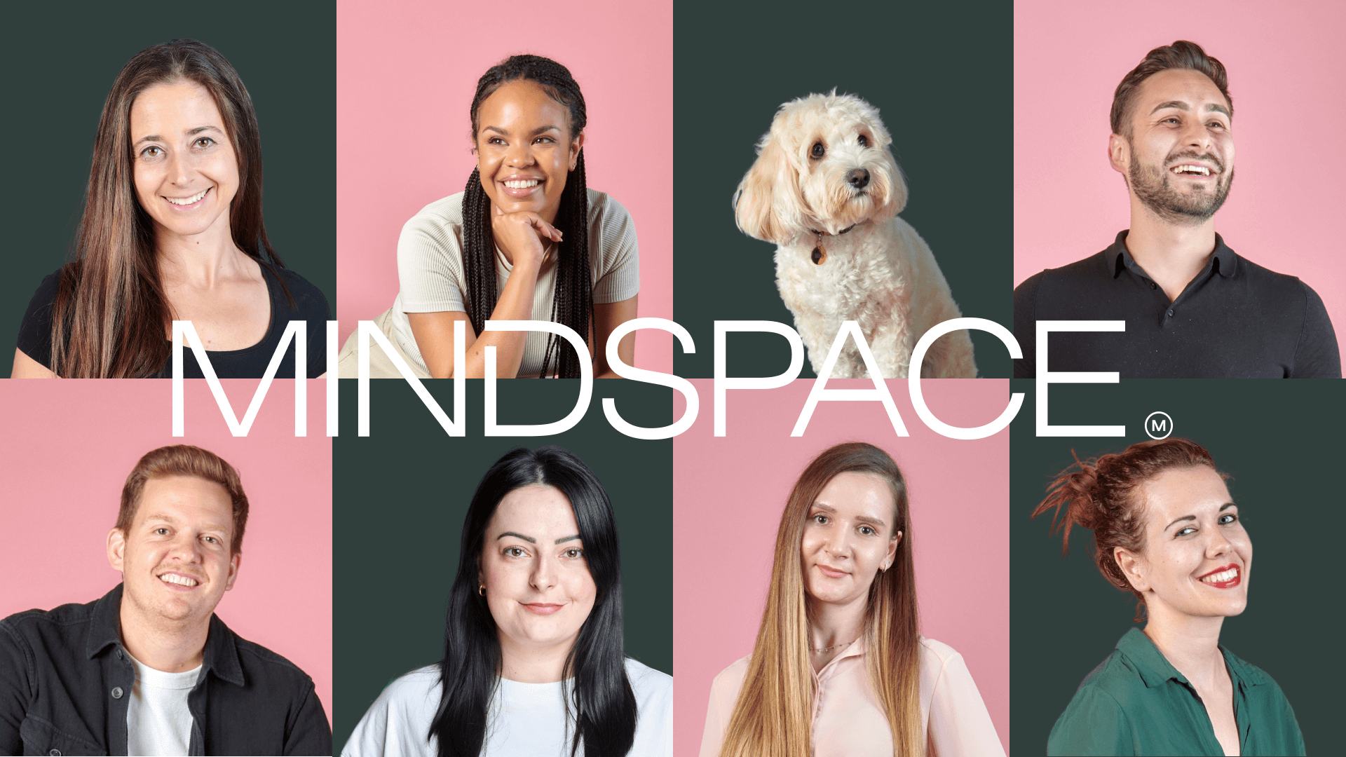 Careers at Mindspace