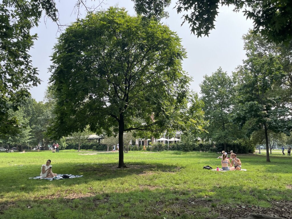 McCarren Park - walking distance from coworking space Mindspace Williamsburg in Brooklyn NY and one of the places to visit in Brooklyn after work